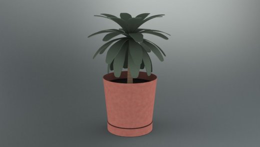 盆栽植物缩略图